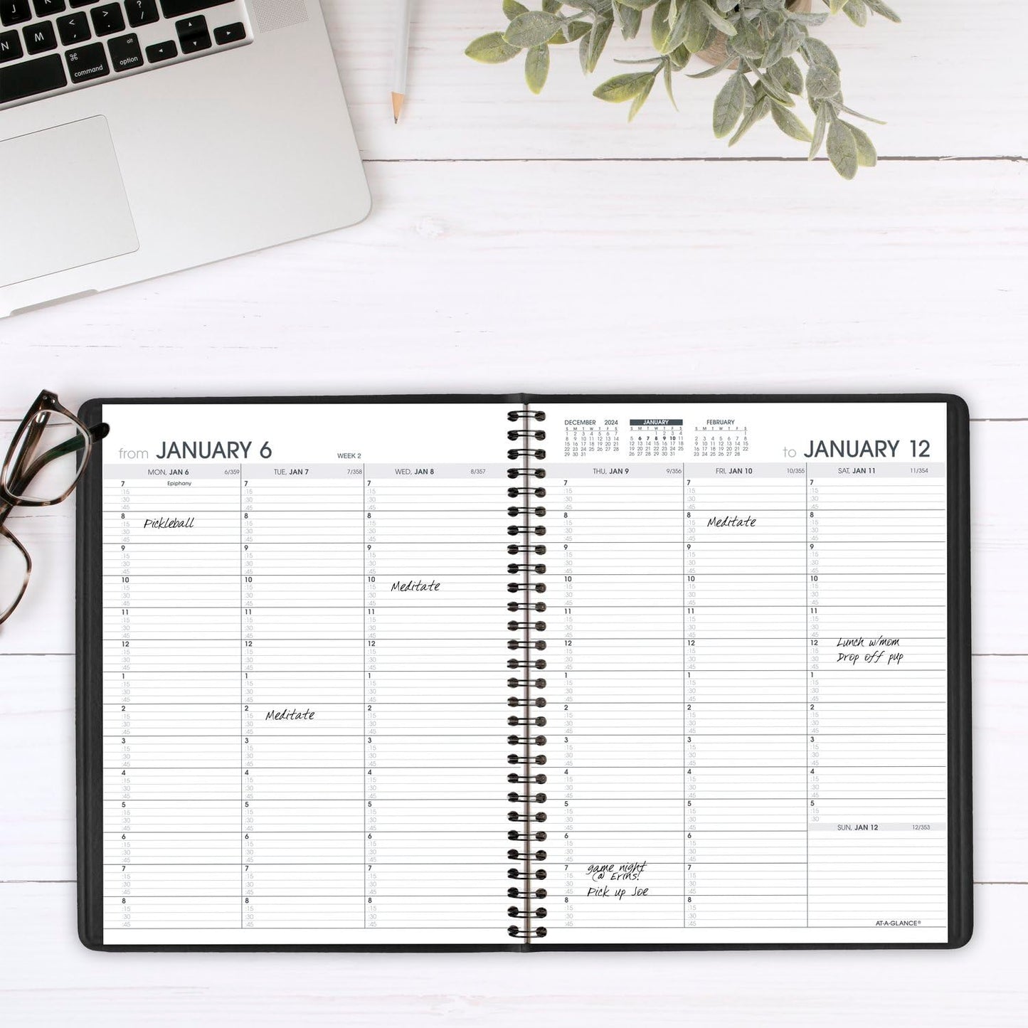 AT-A-GLANCE 2025 Appointment Book Planner, Weekly, 7" x 8-3/4", Medium, Quarter-Hourly, Black (709510525)