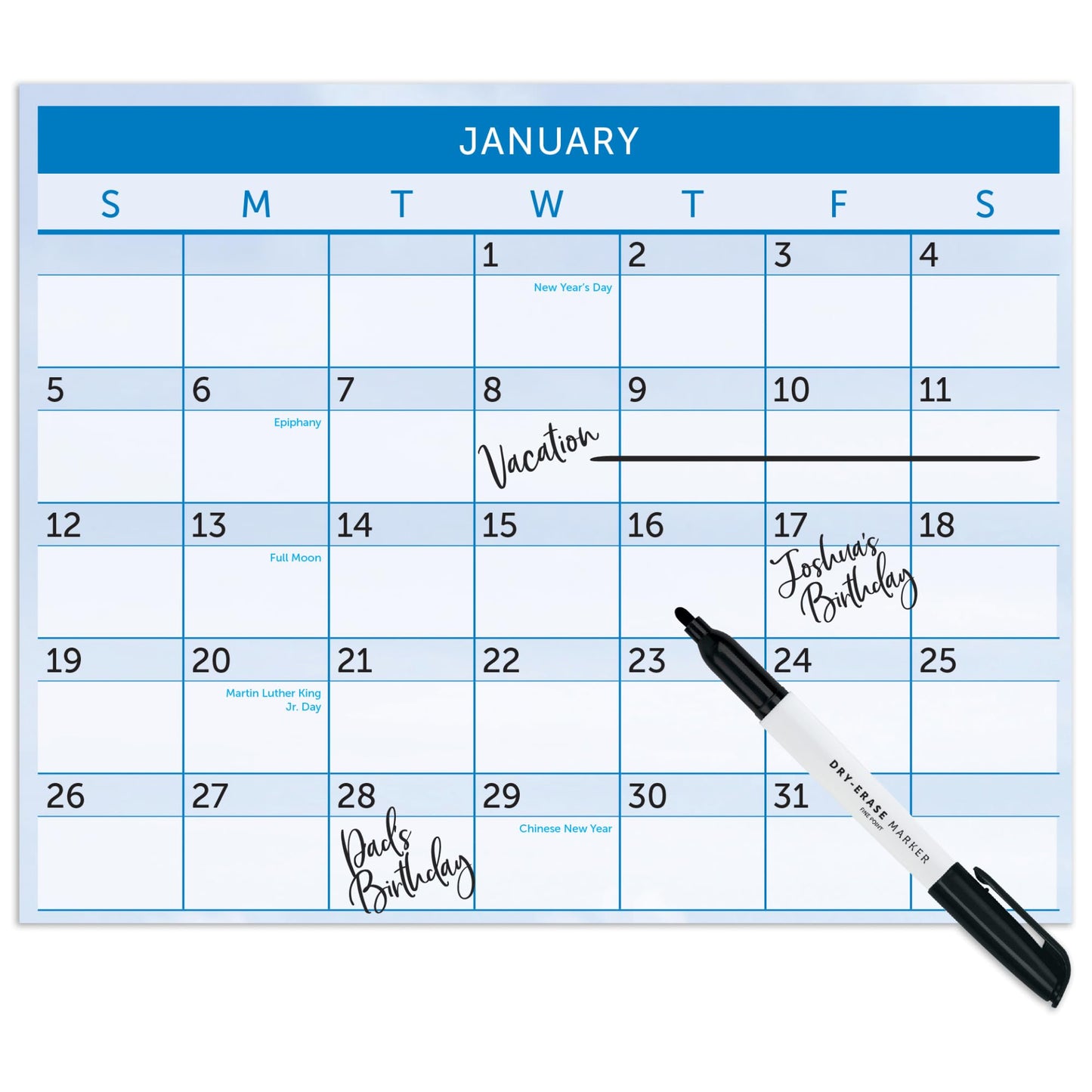 2025 Office Depot® Brand Reversible Erasable Wall Calendar, 24" x 36", Paradise, January to December