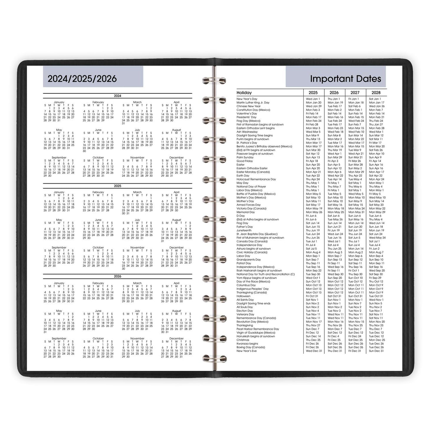 AT-A-GLANCE 2025 Appointment Book Planner, Daily, 5" x 8", Small, Quarter-Hourly, DayMinder, Black (G1000025)