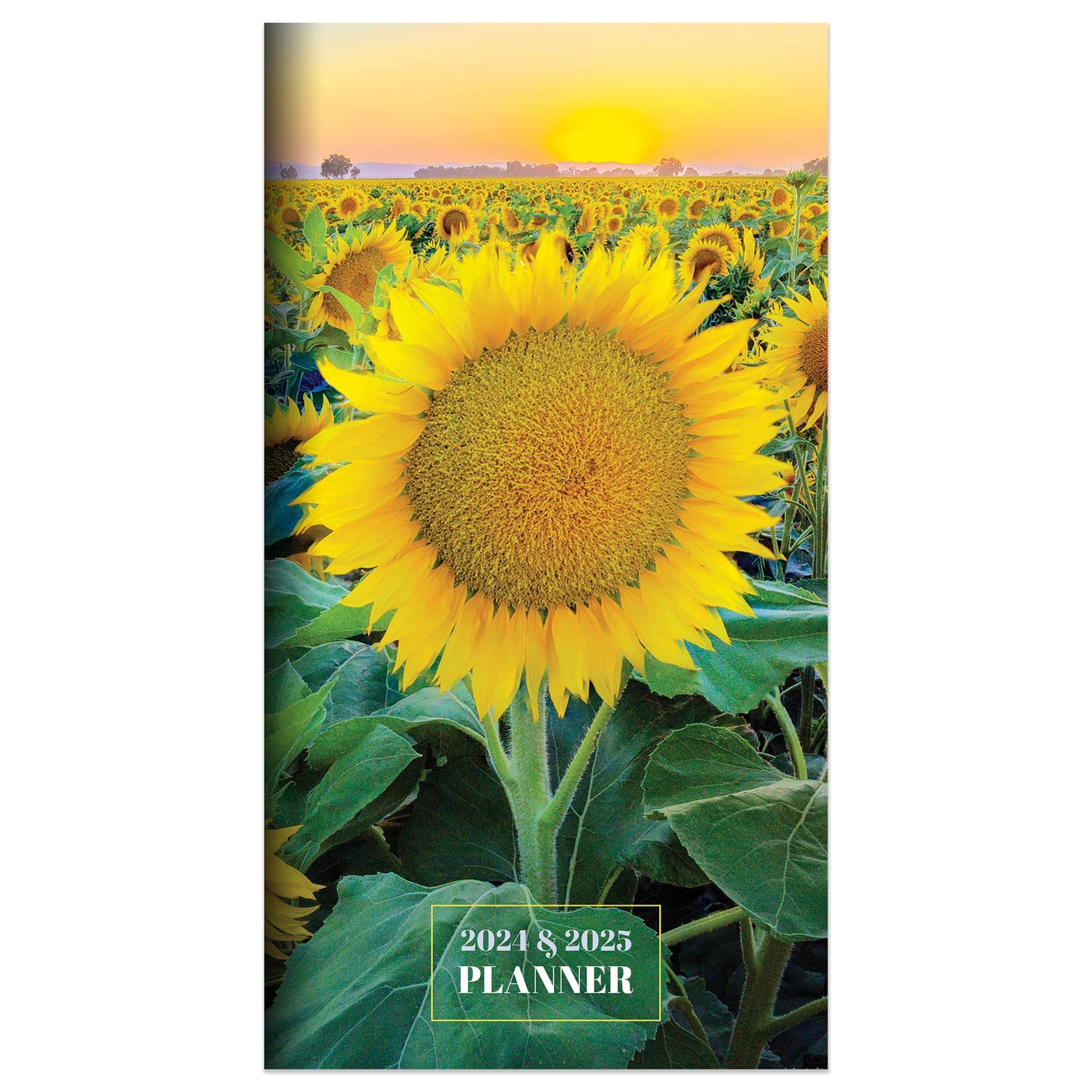 TF PUBLISHING 2024-2025 Sunflower 2-Year Small Monthly Pocket Planner | 2-Page Large Calendar Grid and Lined Notes Section in Back | Monthly Day Planner for Purse | 3.5" x 6.5"