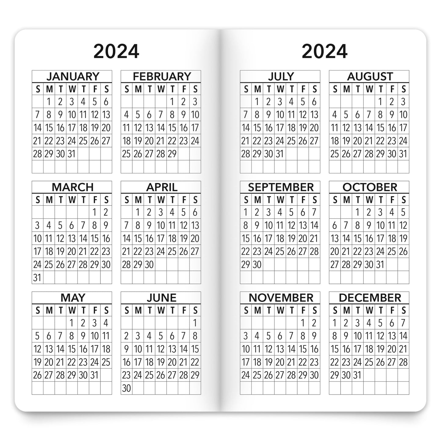 Brown Trout 2-Year Large Print Monthly Pocket Planner, 3-1/2" x 6-1/2", Big and Bright, January 2024 to December 2025