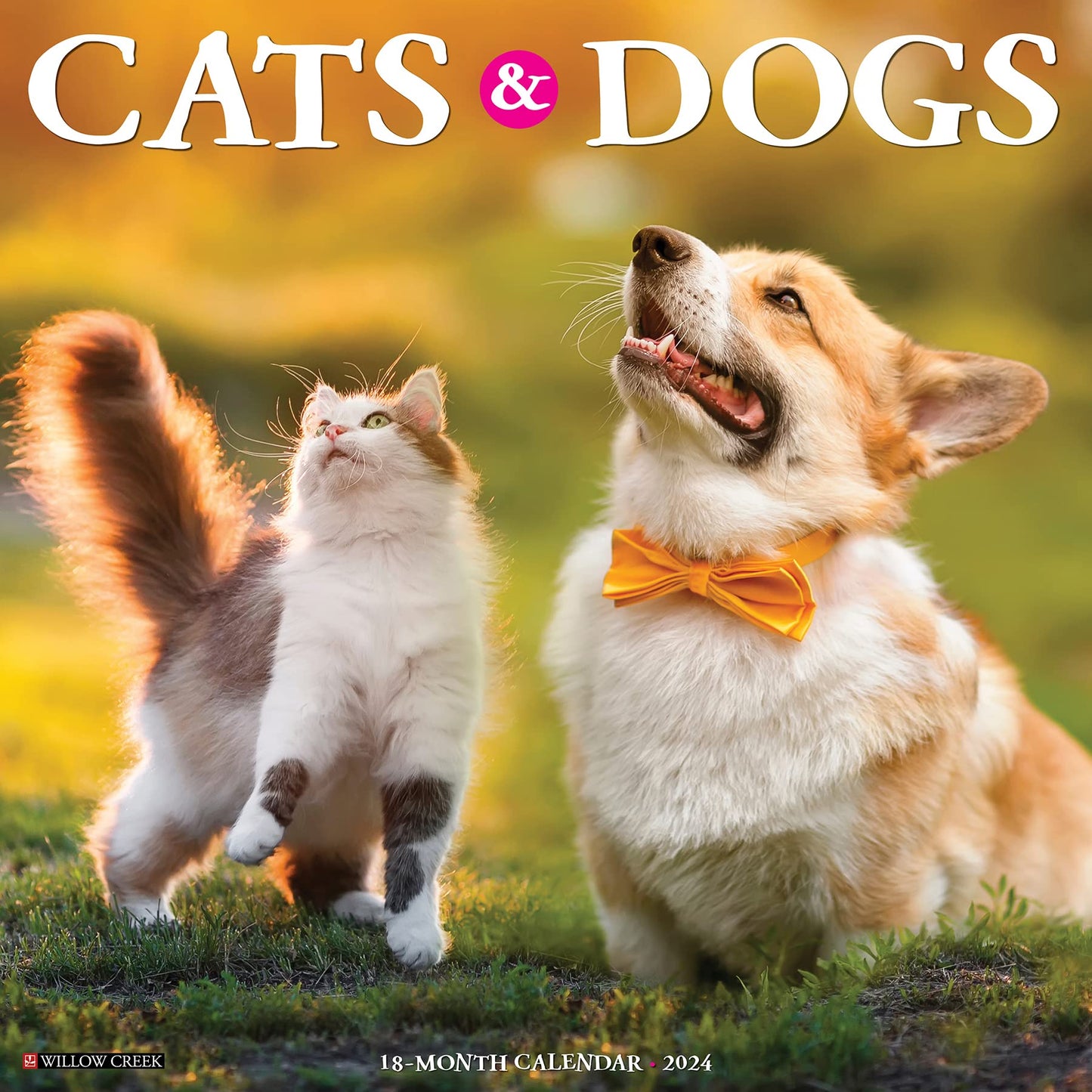 Willow Creek Press Cats & Dogs Monthly 2024 Wall Calendar (12" x 12")