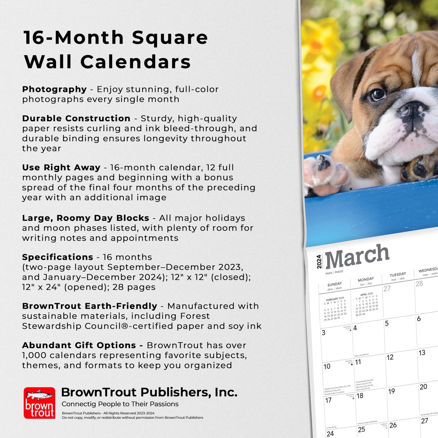 2024 Brown Trout Monthly Square Wall Calendar, 12" x 24", Bulldog Puppies, January To December 2024