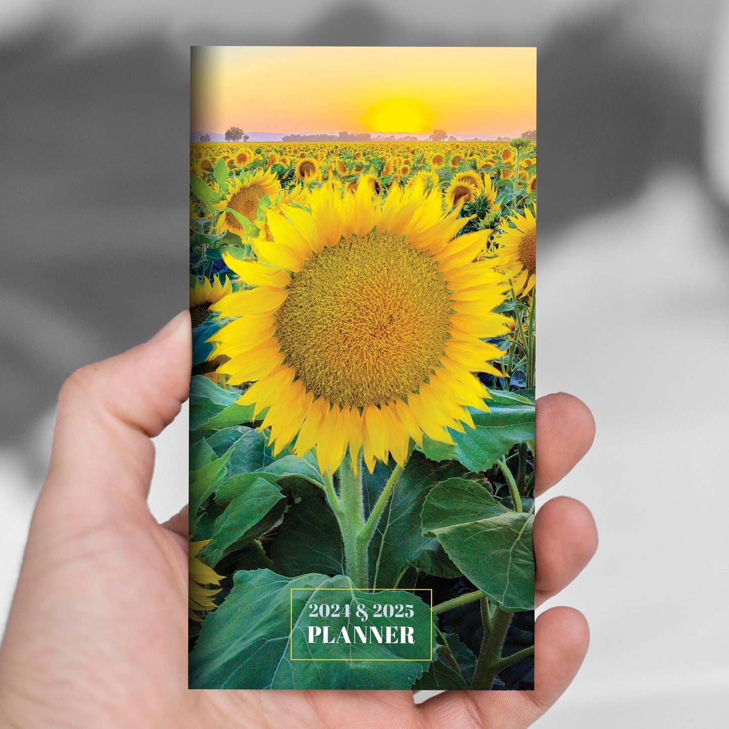 TF PUBLISHING 2024-2025 Sunflower 2-Year Small Monthly Pocket Planner | 2-Page Large Calendar Grid and Lined Notes Section in Back | Monthly Day Planner for Purse | 3.5" x 6.5"