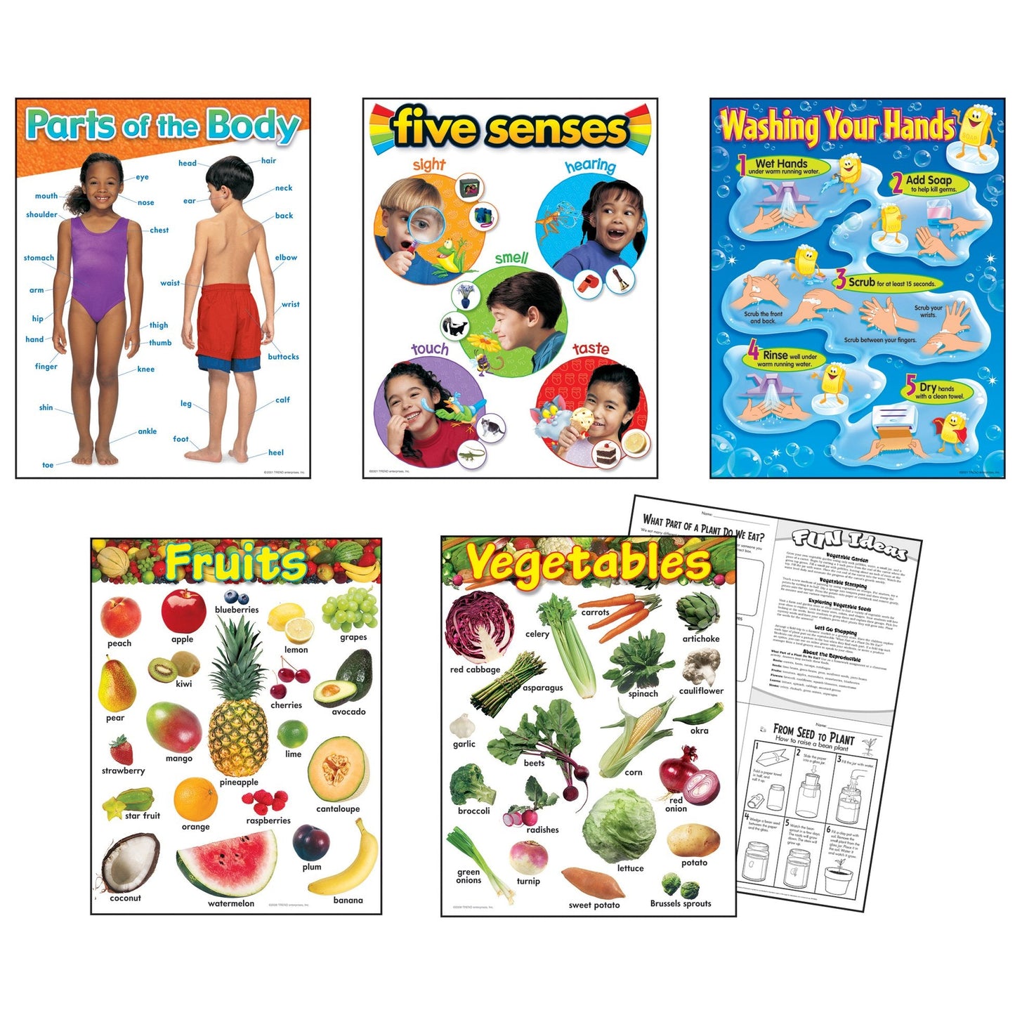 TREND enterprises, Inc. T-38980 Healthy Living Learning Charts Combo Pack, Set of 5