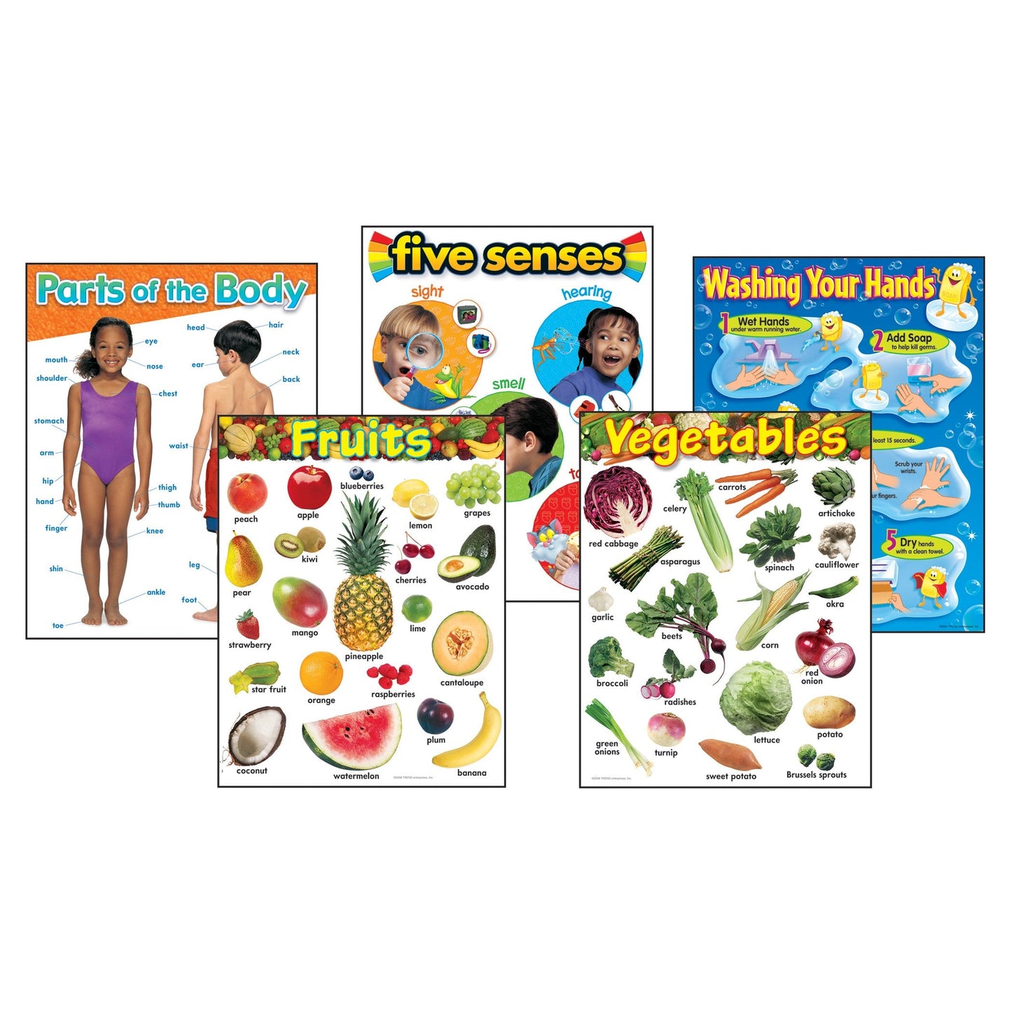 TREND enterprises, Inc. T-38980 Healthy Living Learning Charts Combo Pack, Set of 5