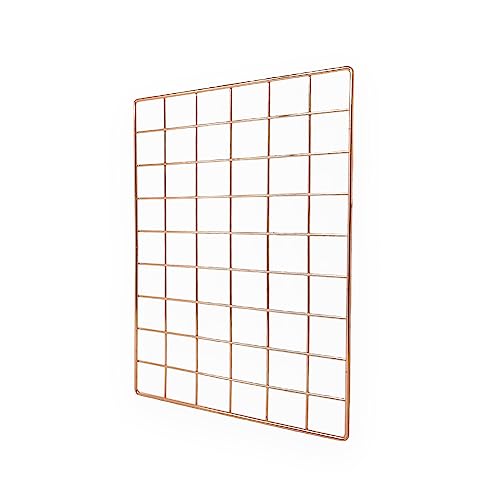 Realspace Rose Gold Wire Hanging Organizer System, Base Panel 18" x 12"