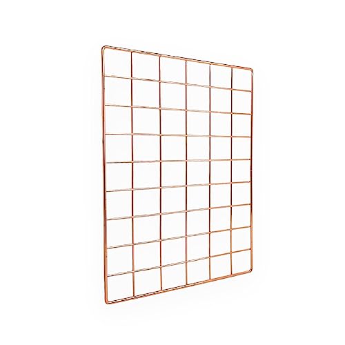 Realspace Rose Gold Wire Hanging Organizer System, Base Panel 18" x 12"