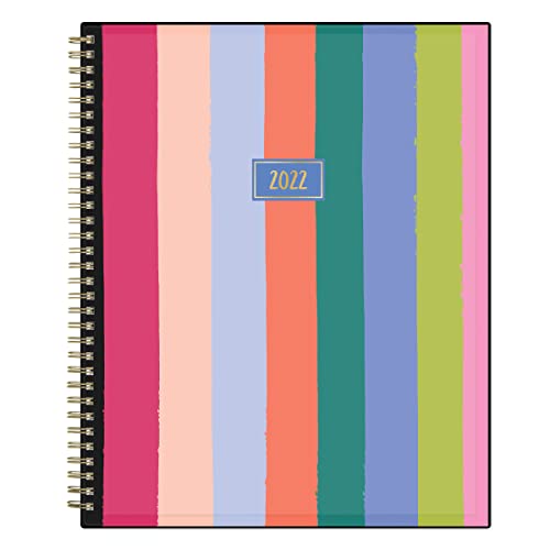 2022 Blue Sky Painted Rainbow 8.5-Inch X 11-Inch Weekly & Monthly Planner, Multicolor (134897)