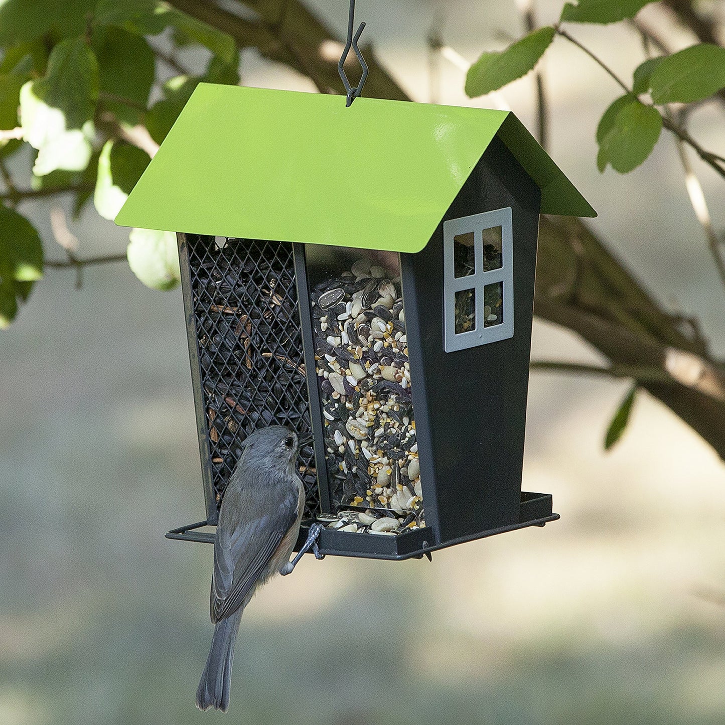 Perky-Pet 420 Gray Seed Duo Wild Bird Feeder, Gray & Green