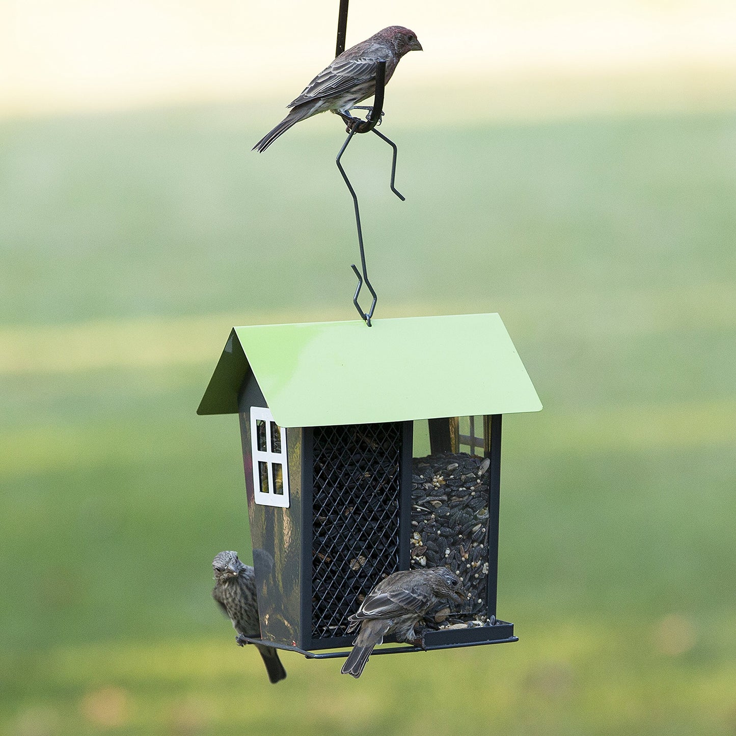 Perky-Pet 420 Gray Seed Duo Wild Bird Feeder, Gray & Green